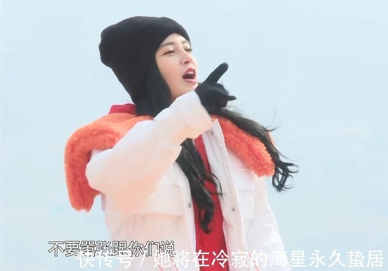 李晨|李晨出言讽刺郑恺，baby仅用8字回怼对方，戳中他内心的痛点