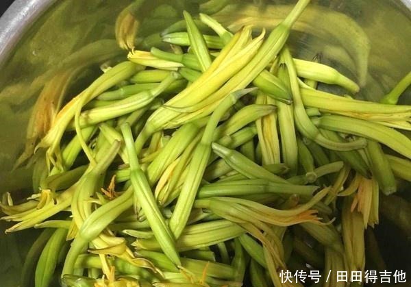 鲜黄花菜|他是“健脑菜”,补脑效果是核桃仁的10倍,价格有点贵