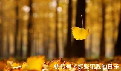 维生素a 新依美护肤不同季节的护肤干干干货,让肌肤不再干燥!