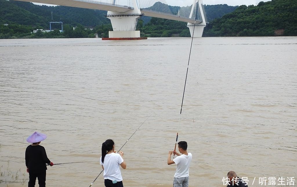 技术|雨后钓鱼,你忽视了这个问题后,再高的技术,也难爆护