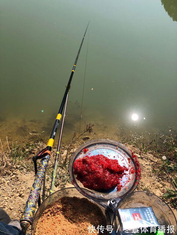 倒刺|白条哭晕在油锅,批量钓法分享,也可只钓大的