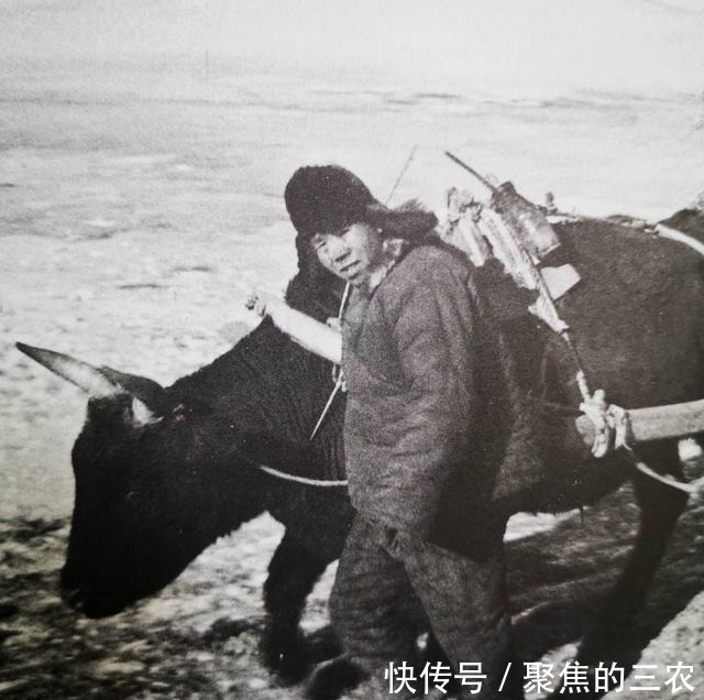 民团|绥远民团战斗力如何40人鏖战200日伪军,正面击溃敌军主力