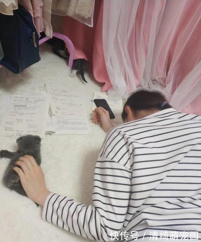 心理健康|女孩趴着做作业,妈妈进来后,一看背上乐了:陪读还挺多呀