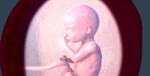 孕吐|女人怀孕后,为什么孕吐反应有强有弱?或许和这两个原因有关!