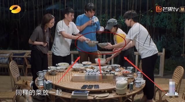 剩菜|张子枫公开处理剩菜,看完3个步骤懵了,原来都欠黄磊一句对不起