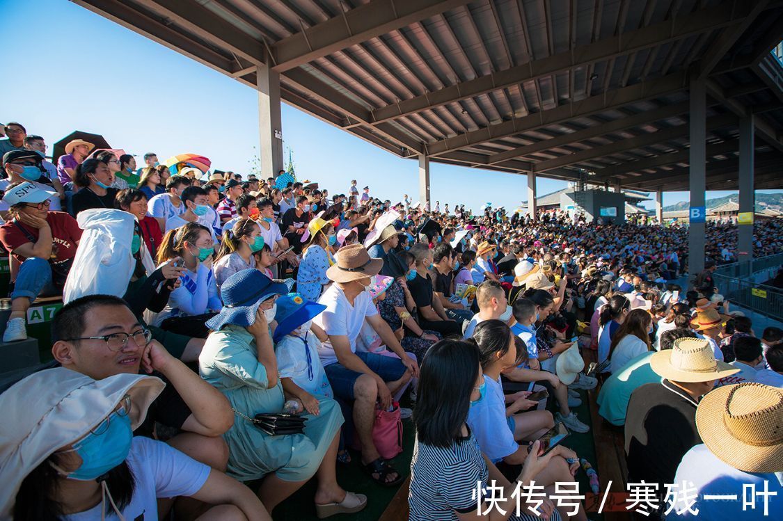 阿麦从军|国庆第二天浙江一景区人山人海，据说来了七位明星，看看谁来了