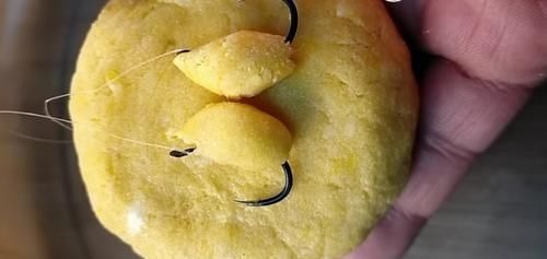 不用蚯蚓和红虫，晚春用这三种“民间配方”上的都是大鲫鱼