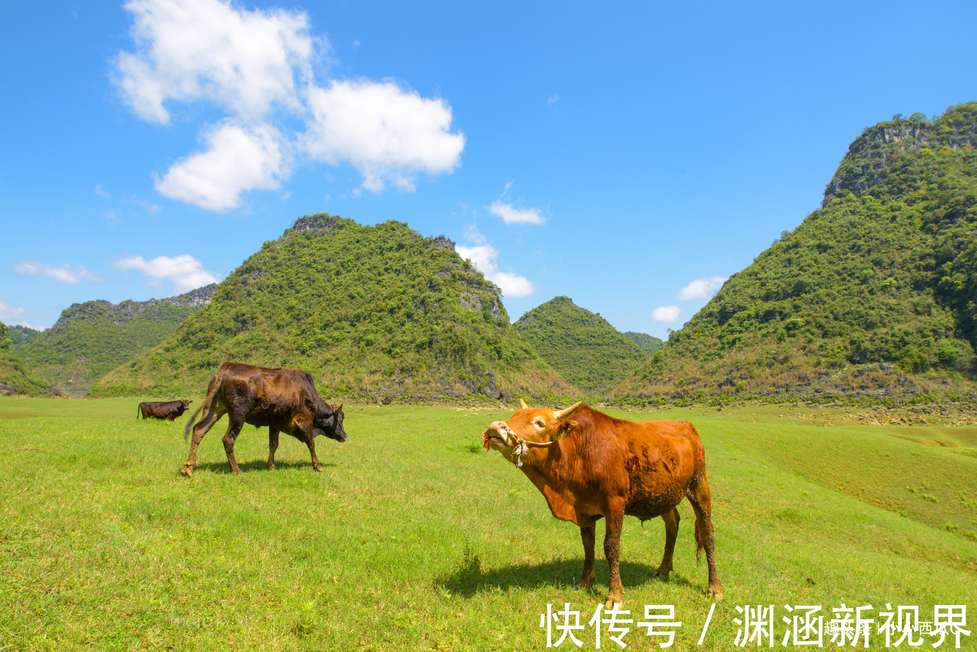 桂林|中国避寒游最热门的8座旅游城市，前三出乎意料，你喜欢哪一座呢