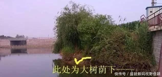 钓位|老钓手,打死不说的4种“好钓位”!