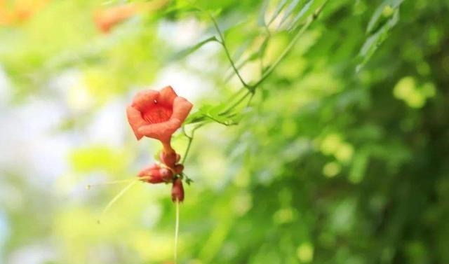 巴结者&人情冷暖,在身份变化中一目了然!