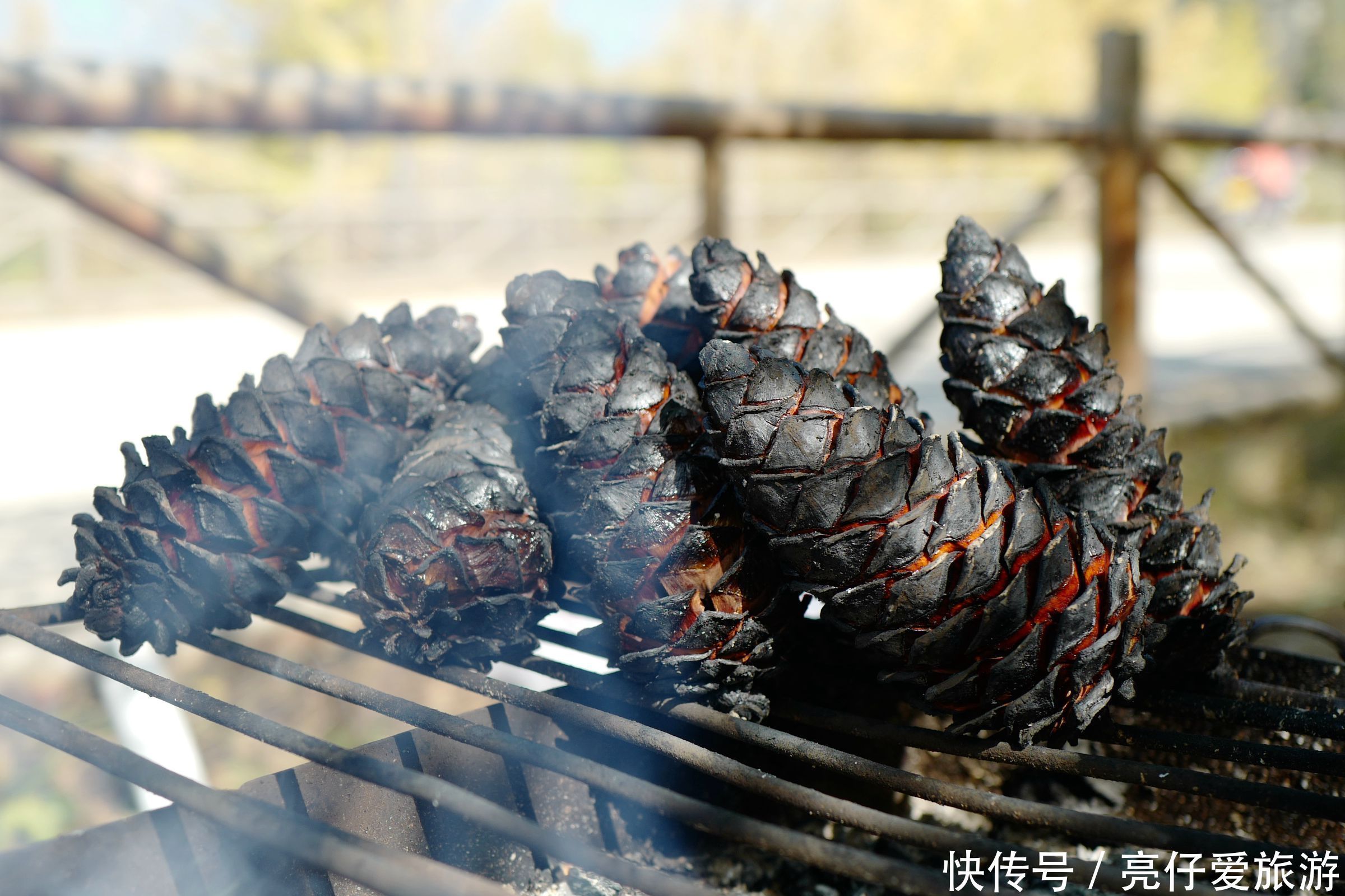 最美|中国最美银杏村 可以一路吃进村