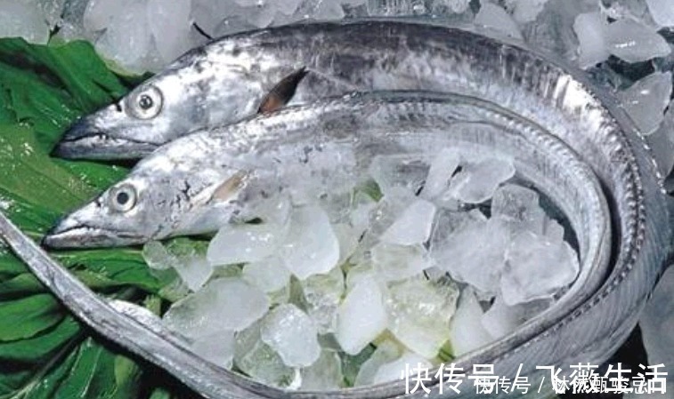 玉筋鱼|中国6种最便宜海鲜,5块钱一斤,和蔬菜一样便宜,非常美味