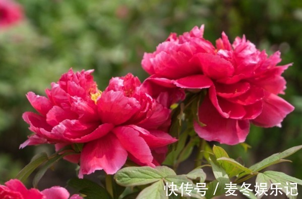 福运@俗话说:人生不如意,十之八九,牢记4句话,从此福运不断!