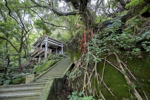 花样漳州：登龙湫岩