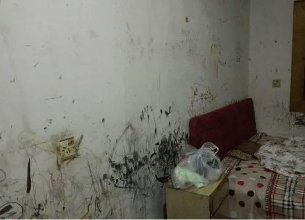 搬走|出租房又破又旧，花800块改造大变样，房东看完恨不得我马上搬走