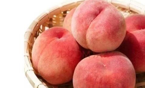 食物养生很重要，推荐以下食物，延缓衰老，改善肤质，缓解疲劳