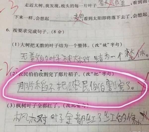 答案|小学生“学渣级”试卷, 老师看完气得拍桌子, 网友 个个都是人才