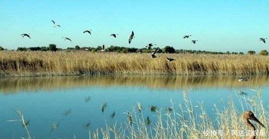 这面契丹金牌,一开始以为是赝品,后来发现是难得的宝贝