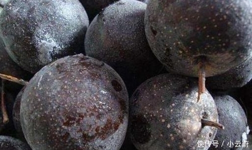  水果|这五种水果冻着吃远比直接吃更美味，尤其是第二种，都说百吃不厌