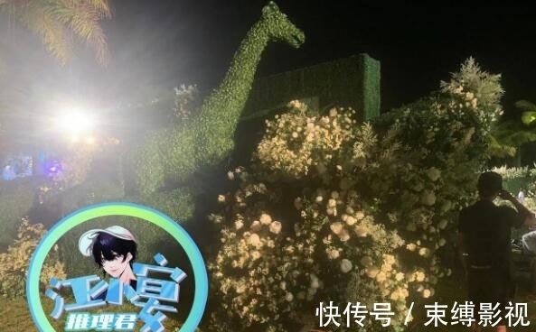 林籽|王彦霖婚礼外景超美,被传是伴郎的陈立农坐轮椅露面,伤势曝光