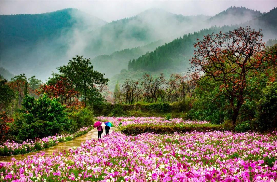 非物质文化遗产|伏羊节来啦，来吃“咩”？