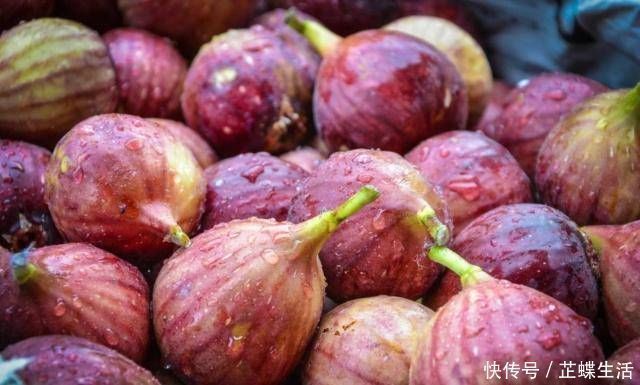 胎儿|怀孕后,孕妇经常吃这四种食物,可以消除胎儿的毒素,使婴儿出生后变白