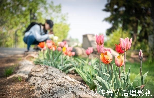 人性格|1天后，爱难自弃，旧爱求情，缔结良缘，好事发生