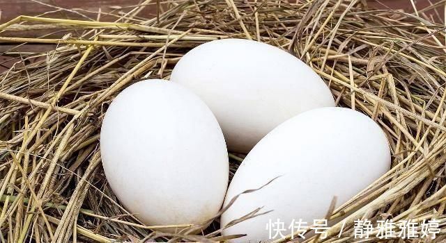 胎毒|怀孕到了几个月吃鹅蛋好?孕妈吃鹅蛋对自己和胎儿的好处,别忽视