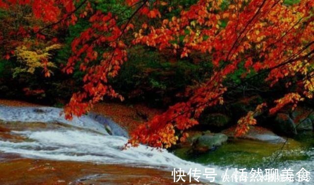 相思枫叶丹|李煜一首深藏不露的词,全文无一怨字,却写出了痴情人最深的怨念