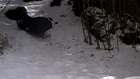 穿衣搭配|还在为穿衣搭配发愁？让“时尚达人”给你一些新思路