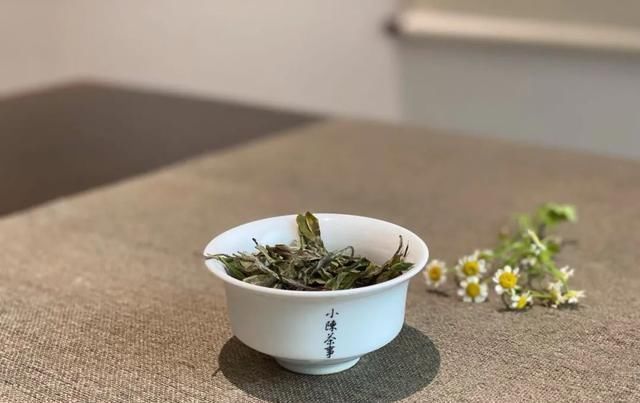 茶友|别单纯看黄叶片了,鉴别做旧老白茶用这个新招术,老茶友们都在用