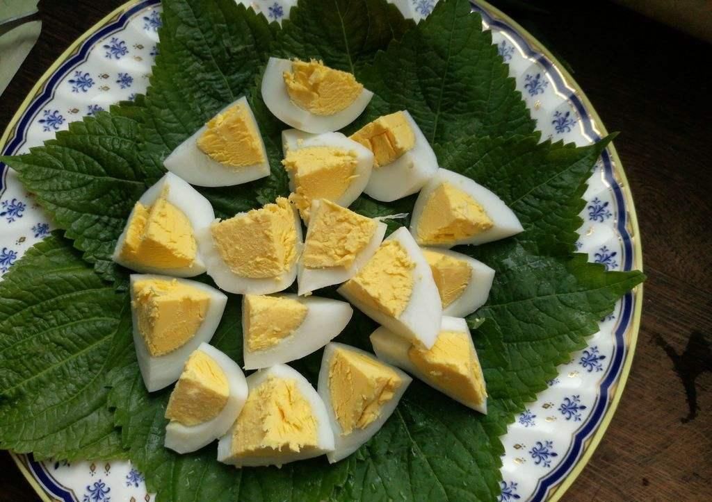 新生儿黄疸|孕期多吃这几种食物,有效预防胎儿出现黄疸