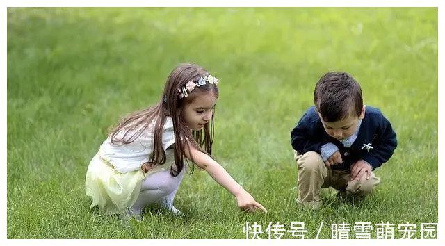 这两种血型的爸妈，生出来的宝宝会很聪明，被称为“完美血型组”