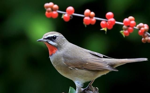古语说“男不过八,女不过七”,七和八代表什么?老祖宗智慧之谈