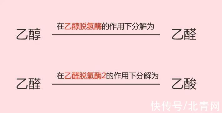 乙醛脱氢酶|去年超74万人因它患癌，国人竟用来养生！伤肝伤胃伤全身，你别碰也别送亲友