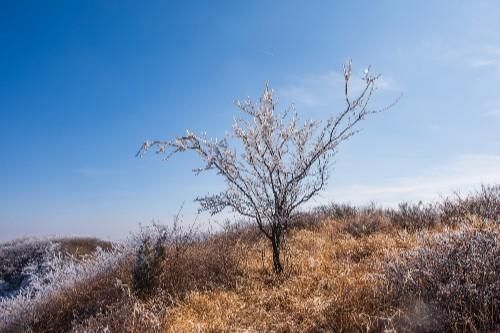 老年|大年初四济南南部山区自驾游，在彩西路旁的劈山邂逅雾凇奇观