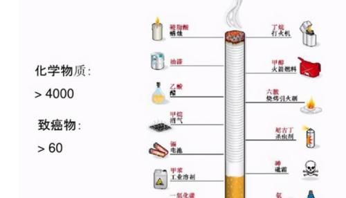 吸烟|烟戒了被“熏黑”的肺还会白回来吗？患肺癌的概率是否会下降？