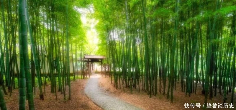 文人|刘禹锡被贬外遭到排挤,还搬了好几次家,于是写下一篇很狂的文章