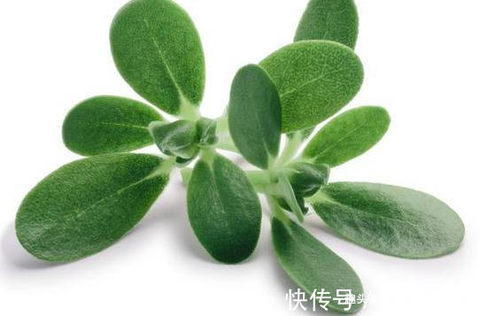 丝瓜|若出现甲状腺结节,牢记“4吃、4不吃”,或能减轻甲状腺的负担