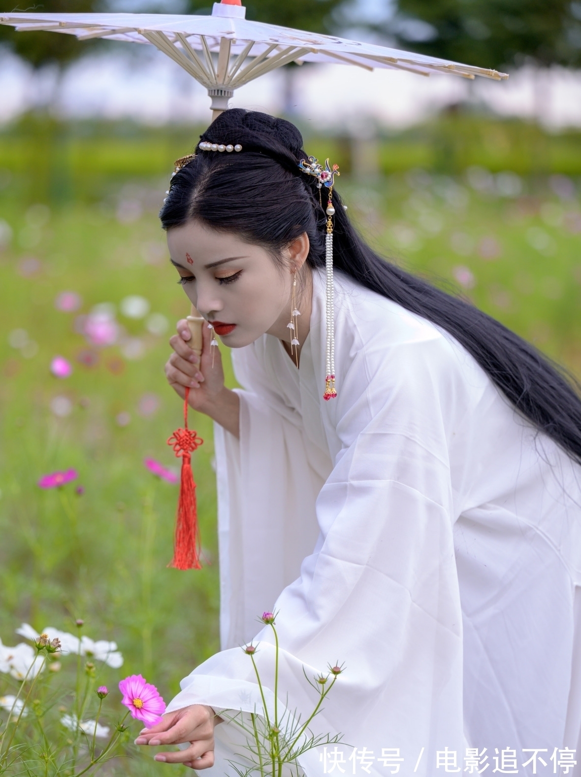 青山|词丨落桐翩似蝶衣行。一脉青山须纵马,休怕。吟风咏月寄浮生