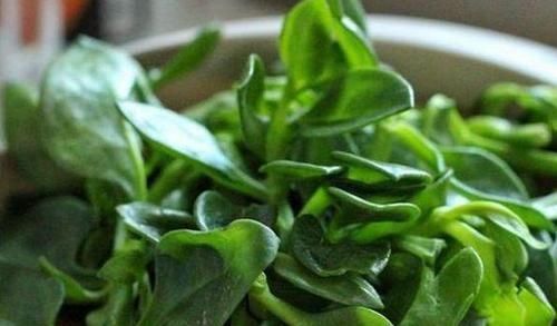 青苹果|女性不愿老太快,要经常吃几种食物,美容养生,好处多多