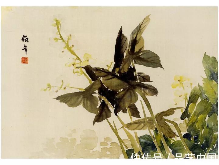 吴昌硕@任伯年的小品,色感十足