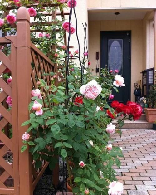 聚会|好看这样布置一个家庭小院,聚会玩乐都能行,看完就想建一个