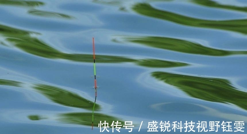 垂钓|人不舒适时鱼却感觉舒适,正是钓鱼的大好时机,千万别错过!