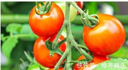 含有|女性不想变黄脸婆，要多吃几种食物，排毒养颜，美白祛斑，抗衰老