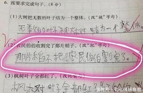 作业|熊孩子“冒险作业”走红,最后一个“危险系数”最高,家长已气晕