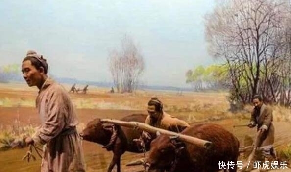 俗语“有福之人两腿毛,无福之人毛两腿”,到底是什么意思