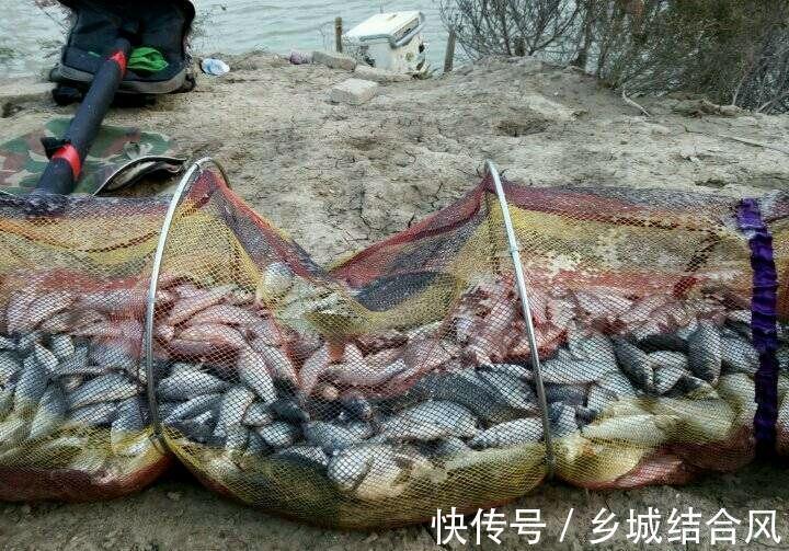 野钓时鱼口突然闭停,是什么原因导致的?如何避开散窝?