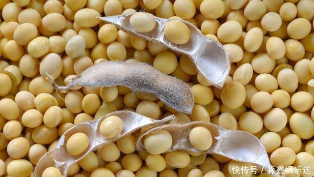 钙是虾的3倍，铁是猪肉的5倍，5块钱一斤，可惜很多人不爱吃