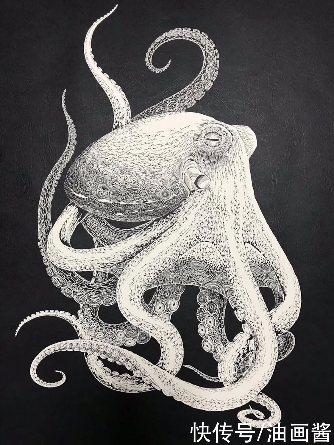 章鱼|日本女艺术家在纸上剪出巨型章鱼,放大看细节,精细程度让人惊讶